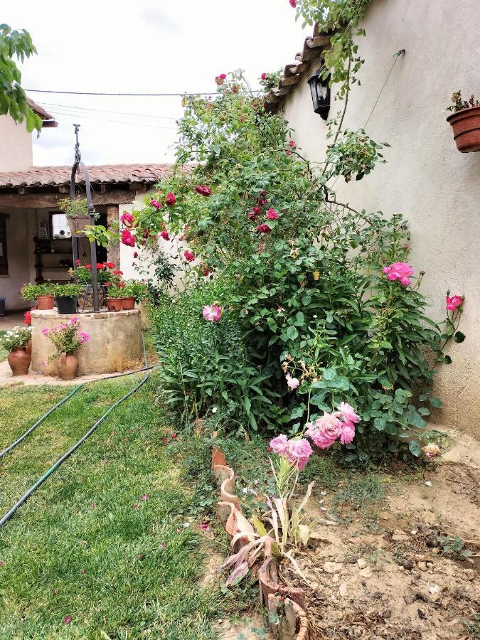 Albergue Don Camino Villalcázar de Sirga Екстериор снимка